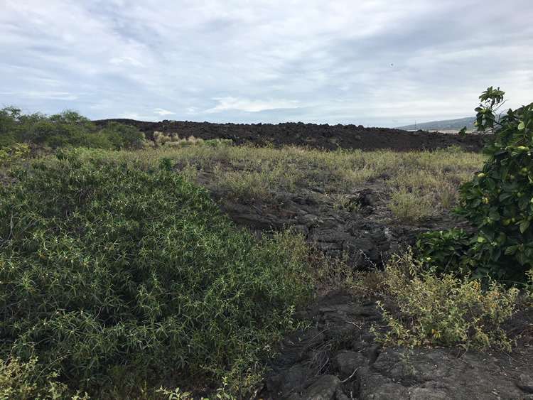 Kaloko-Honokōhau National Historical Park